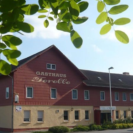 Gasthaus Forelle Thale Zewnętrze zdjęcie