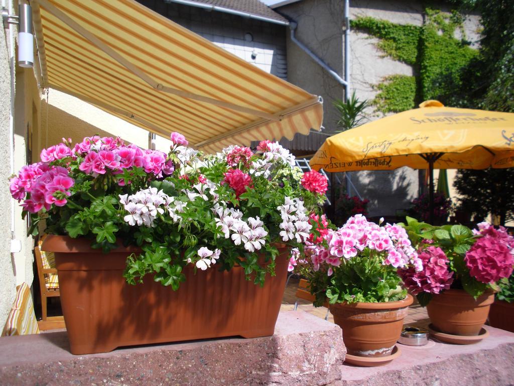 Gasthaus Forelle Thale Zewnętrze zdjęcie