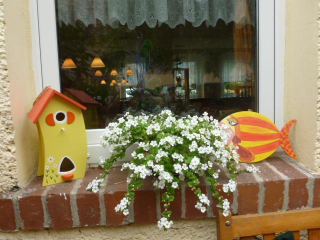 Gasthaus Forelle Thale Zewnętrze zdjęcie